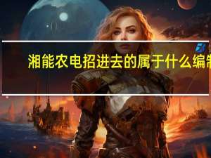 湘能农电招进去的属于什么编制