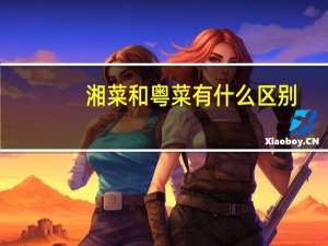 湘菜和粤菜有什么区别