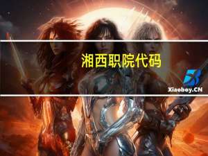 湘西职院代码