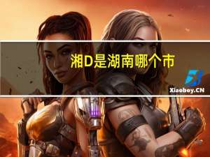 湘D是湖南哪个市