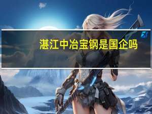 湛江中冶宝钢是国企吗