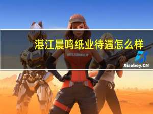 湛江晨鸣纸业待遇怎么样