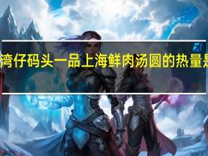 湾仔码头 一品上海鲜肉汤圆的热量是多少