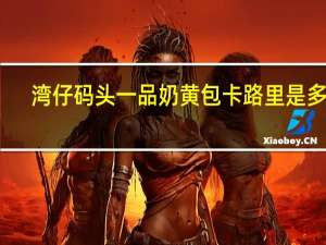 湾仔码头 一品奶黄包卡路里是多少