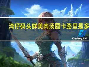 湾仔码头 鲜美肉汤圆卡路里是多少