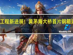 湾区工程新进展！黄茅海大桥首片钢箱梁完成吊装