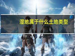 湿地属于什么土地类型