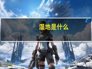湿地是什么