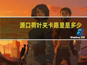 源口 荷叶夹卡路里是多少