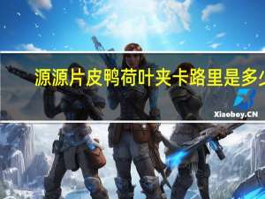 源源 片皮鸭荷叶夹卡路里是多少