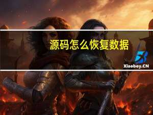 源码怎么恢复数据