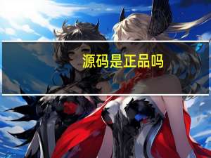 源码是正品吗