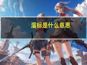 溜标是什么意思