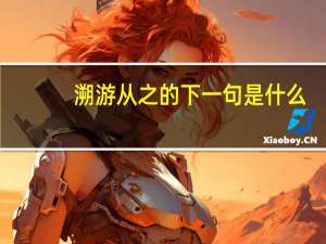 溯游从之的下一句是什么