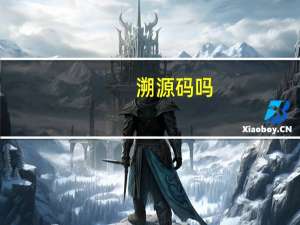 溯源码吗