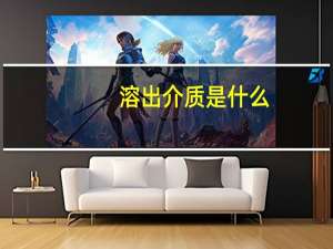 溶出介质是什么