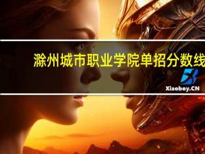 滁州城市职业学院单招分数线