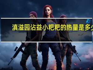 滇溢园 沾益小粑粑的热量是多少