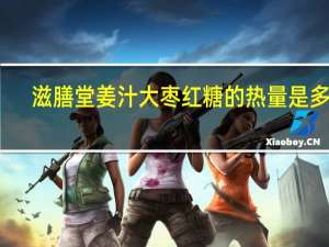 滋膳堂 姜汁大枣红糖的热量是多少