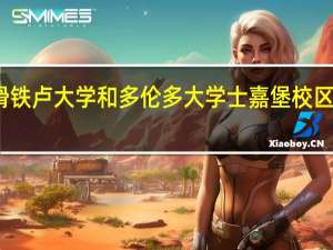 滑铁卢大学和多伦多大学士嘉堡校区哪个好