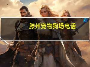 滕州宠物狗场电话