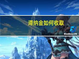 滞纳金如何收取
