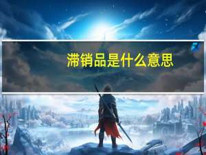 滞销品是什么意思