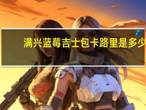 满兴 蓝莓吉士包卡路里是多少