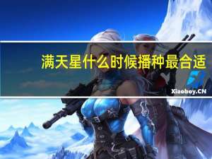 满天星什么时候播种最合适