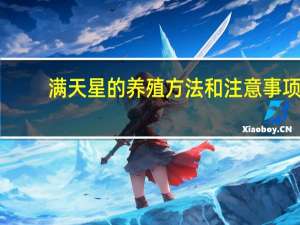 满天星的养殖方法和注意事项：喜温暖湿润和阳光充足环境