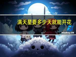 满天星要多少天就能开花
