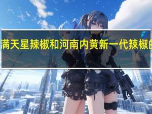 满天星辣椒和河南内黄新一代辣椒的区别