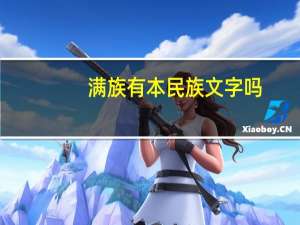 满族有本民族文字吗