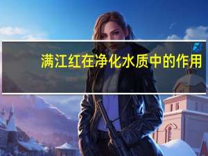 满江红在净化水质中的作用