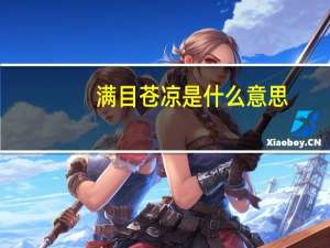 满目苍凉是什么意思