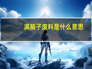 满脑子废料是什么意思