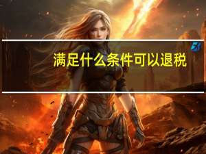 满足什么条件可以退税