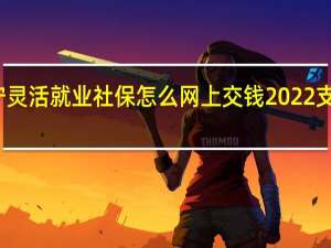 滨州枣庄济宁灵活就业社保怎么网上交钱　2022支付宝缴费流程一览