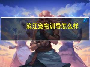 滨江宠物训导怎么样