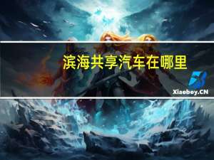 滨海共享汽车在哪里