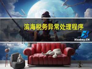 滨海税务异常处理程序