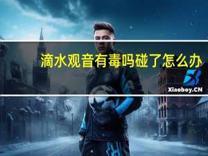 滴水观音有毒吗碰了怎么办（滴水观音有毒）