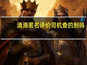 滴滴匿名评价司机查的到吗