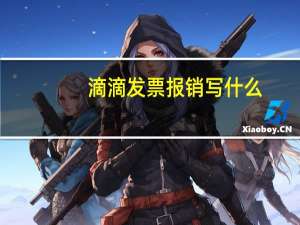 滴滴发票报销写什么