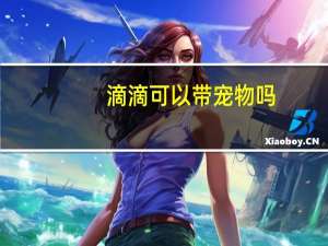 滴滴可以带宠物吗