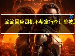 滴滴回应司机不帮拿行李订单被取消