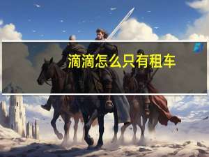 滴滴怎么只有租车