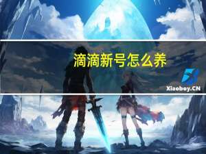 滴滴新号怎么养