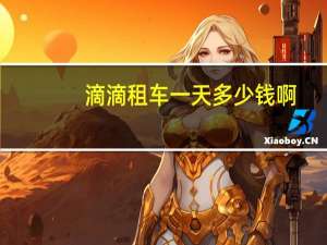 滴滴租车一天多少钱啊