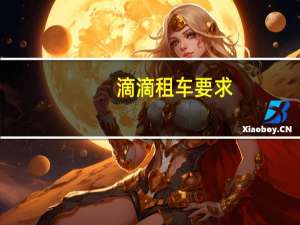 滴滴租车要求